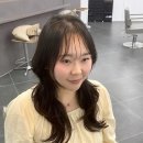 [춘천] 레이어드컷 맛집 제리앤코 헤어튜디오 후기