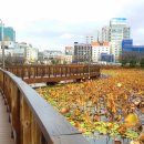 운천저수지 이미지