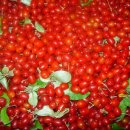 보리수어린이집 이미지