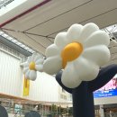 지드래곤 전시회 예약 필요없는 데이지가든 방문 후기 (현장대기 가능)