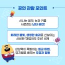 주목주비