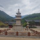 대구교육대평생교육원 | 2025년 후기1차 풍수지리 현장학습(표충사)