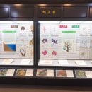 충남대학교 자연사박물관 이미지