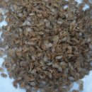 서해수산연구소 이미지