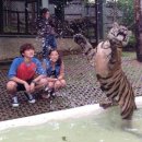 대박갤러리 이미지