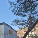 소베라노독채풀빌라 이미지