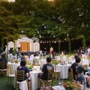 정부가 신라호텔서 행사한다고 결혼식을 취소 시켜? 이게 지금 정상적인 국가인가? 이미지