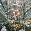 195 | 내돈내산 천안브런치맛집 수제버거맛집 천안대형카페 랜드마크195 후기