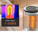 딜팩토리 디에프 전기히터 난로 가정용 업소용 사무실 캠핑 DF-001