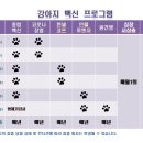나아라 동물병원 이미지