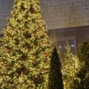 13월겨울 이미지