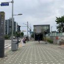 삼성초등학교 건너편(하천옆) | 전국 파크골프장 투어(17-2)- 서울 양천구 안양천생태공원 파크골프장에서 라운딩