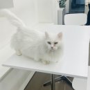 스튜디온 이미지