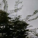 시원한바람 이미지