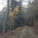 부윤1리 이미지