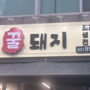 창동꿀돼지