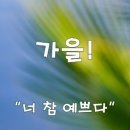 너참예쁘다 이미지