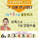웰니스병원 네이버블로그