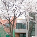 현대데코