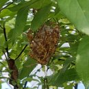 용인대흥도태권도 이미지