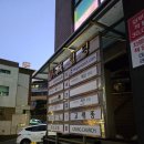 대성빌딩 | 서초 해산물 맛집 고래똥 : 내돈내산 단체회식 서초동 횟집 청모장소 추천 술집
