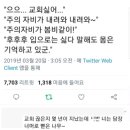 고운일상 이미지