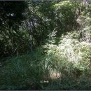 문수사 입구 이미지