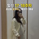 임신 17-18주차 증상 배크기 초산모 태동 느낌 기형아검사 결과 여전한 입덧