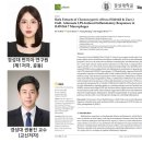 편백나무화장품