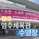 자유시간 | 광주 염주체육관 수영장 주말 가격 수심 운영시간 자유수영 후기