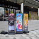 KT 옆(교동길) | 과천 서울대공원 원더파크 핑크퐁 레인보우미션 팝업 후기｜두돌 아기와 다녀온 실내 체험 (주차...