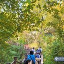 1:1 L·FIT 이미지