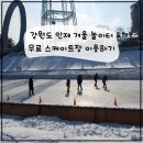 인제군체육회 | 강원도 인제 무료 스케이트장 기적의도서관 옆 갯골천