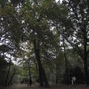 서울대학교 농업생명과학대학 이미지