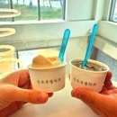 강릉순두부 | 강릉 순두부젤라또 내돈내산 방문 후기