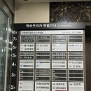 도도스뷰티