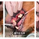사직동물의료센터 이미지