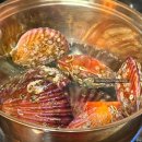 괜찮은회수산 | [홍성 남당항 - 동백회수산] 새조개 포장 후기