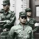 자유-희망 이미지