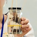 라탄공예 무드등 만들기 이미지