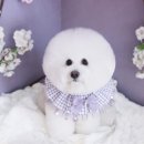 그루밍샵 0105 이미지