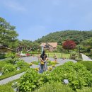 더그림헤어 이미지