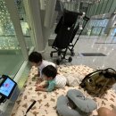 (주)해내 | 다낭여행 후기