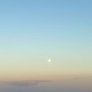 섬섬씨(SEA) 이미지