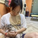 숲 동물병원 펫스테이션점 | 좋아하는 사람들 다 들어와! 부산 수영역 지하1층 펫스테이션점 고양이 카페 피피피 재방문 찐 후기💜
