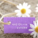 둔산요양병원 | 25년 하반기 국가고시 합격자 후기~