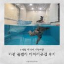 더아리웃집1 이미지