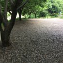 예랑민박 이미지