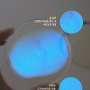 미래아이안경 | 미래의 시력까지 관리하는 어린이 근시억제안경, 에실로 스텔리스트
