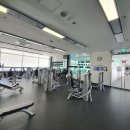 동백동 농구장 이미지